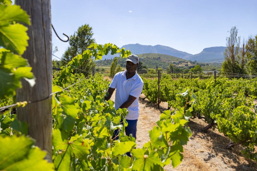 6 Bedroom Property for Sale in Klein Parys Western Cape